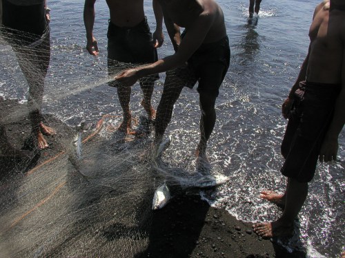 kleine Ausbeute im Fischernetz