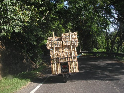 Dieser Mofafahrer transportiert Krupuk