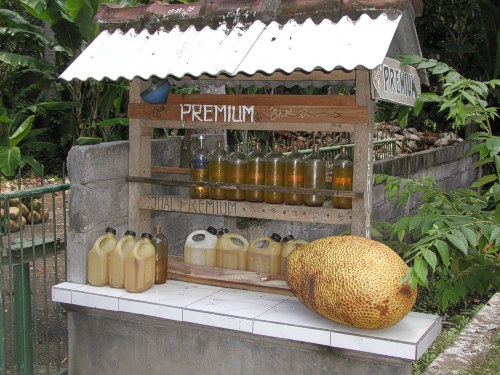 Dorftankstelle mit Jackfruit (Nangka)