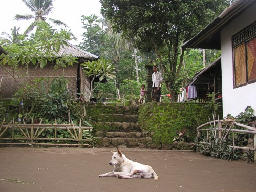 friedliches Gehöft am Gunung Agung