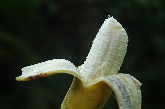 Pisang ketip - leicht nussiges Aroma