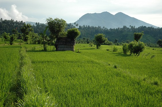 bei Tirtagangga