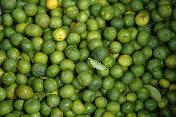 Balinesen bestehen darauf, dass diese 2 - 3 cm grossen Zitronen anders schmecken, als die großen