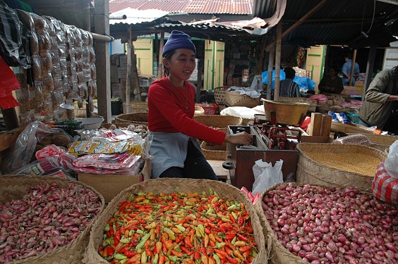 Bawang dan cabe (Zwiebeln und Chilli)