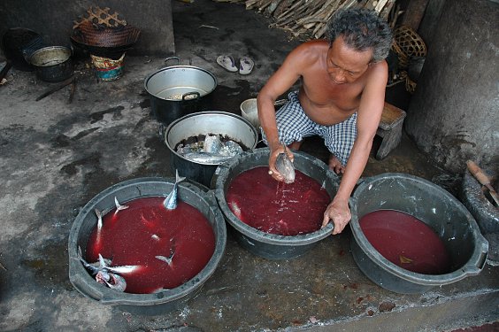 Zuerst werden die Fische gewaschen