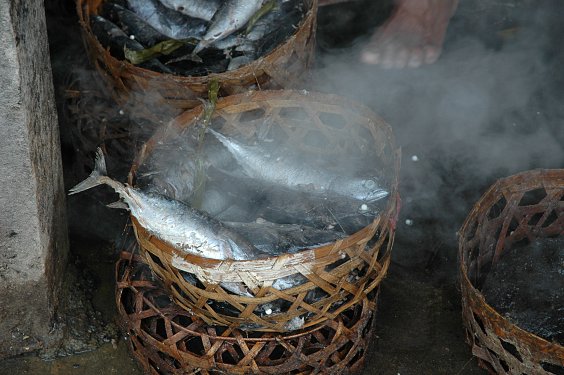 Der frisch gekochte Fisch muss erst mal ausdampfen