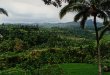 in der Nähe von Selat in Karangasem