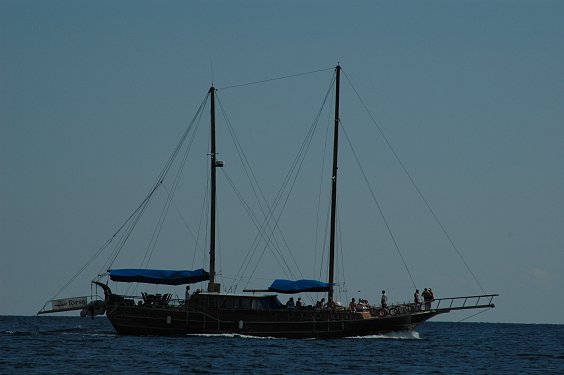 Ein etwas gr&ouml;&szlig;eres Teil schwamm souver&auml;n an uns vorbei.