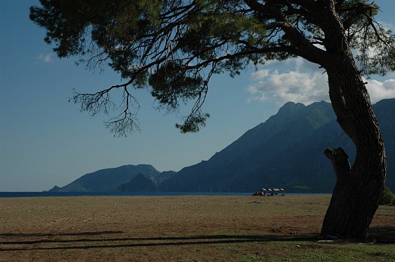 Dieser Anblick fasziniert t&auml;glich aufs Neue.