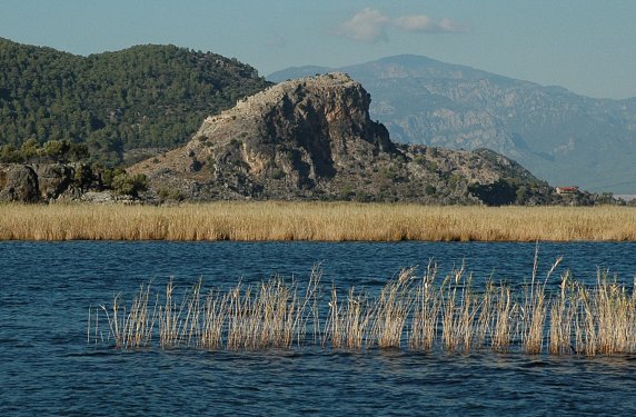Von Dalyan bis zum Strand f&auml;hrt man durch eine Schilflandschaft.