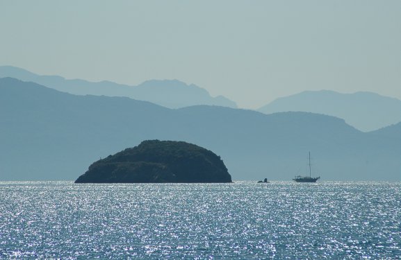 Die verschiedenen Blaut&ouml;ne im Gegenlicht sind einmalig.