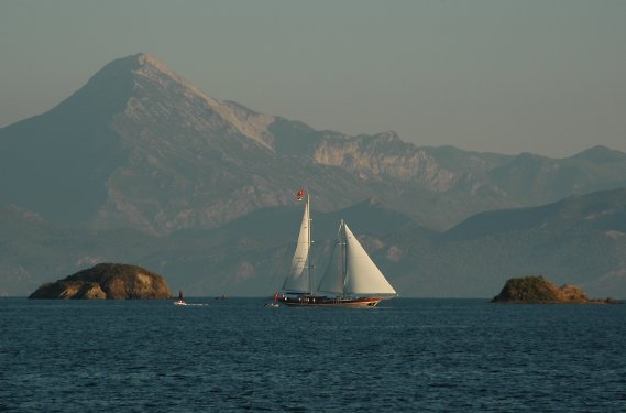 Sieht das nicht fantastisch aus?