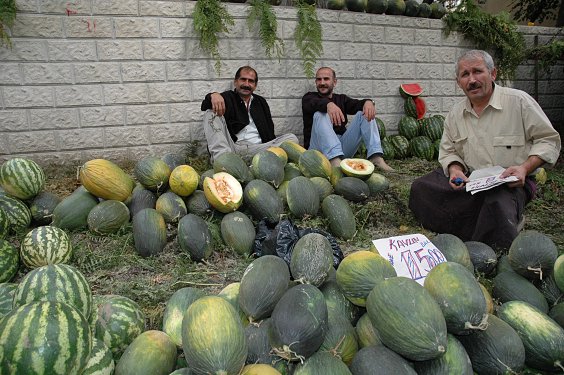 Wassermelonen (karpus) und Honigmelonen (kavun)