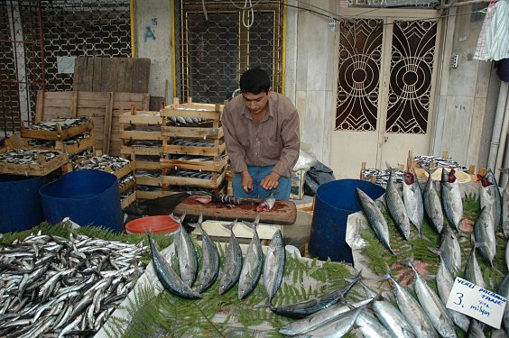 Fisch - Balik (nat&uuml;rlich schreibt man das mit i ohne Punkt)